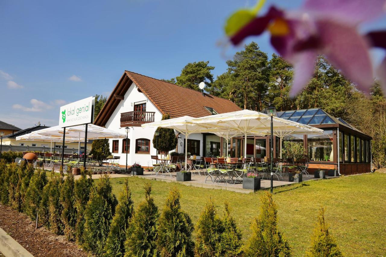 Lokal Genial Pension & Restaurant Beelitz Extérieur photo